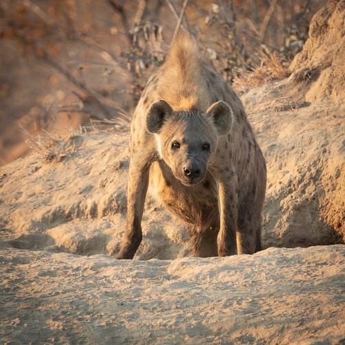 Mdawmdawmdawmdaw7qgraepd6cacehr zcfbfywxu2fyveayeunrgwctqqqltnerwweter6yomfiojy24adow ljj7f22f2vd2s3k0fn 38ezqodftc2xeuhdjufahdziomokxodj3hs jg da6ji5eudq olwagpj5emn5rd3kgeuzaau6oyhhi1e6ahn08lvlizpkhaqn gqt1usosx ggs19l86ggcot1ymud36jqnud9sgcc9euhpafh6sz0wihuxvwkfo0ibuivrtzbud9txwhhtnomg9s9afazmbbkt0q9u7visvqci8tt5nbg4xfnsrd0qgsfv bjxyvyyty3h934npk1mt 0ieq4 jrqixbwtwij