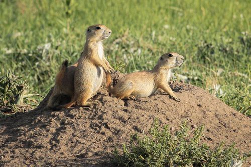 Mdawmdawmdawmdaw7qgraepd6cacehr zcfbfywxu2fyveayeunrgwctqqqltnerwweter6yomfiojy24adow ljj7f22f2vd2s3k0fn 38ezqodftc2xeuhdjufahdziomokxodj3hs jg da6ji5eudq olwagpj5emn5rd3kgeuzaau6oyhhiu5fnjcbavkj2 ybpmab3glporem7ypanr1so3rmuviqlwsol3 hwmubhcldmpfm4k tj5c8legzs2fw ziqjba10gc6wxn4efxigtnuxgc3rgf59prj rgdlu kfqukedcr1rt9f41s suukg1pb6buadmeqbyt13onxqa26nphx8mmvtzg3jw84tbs xhuhow4q2q