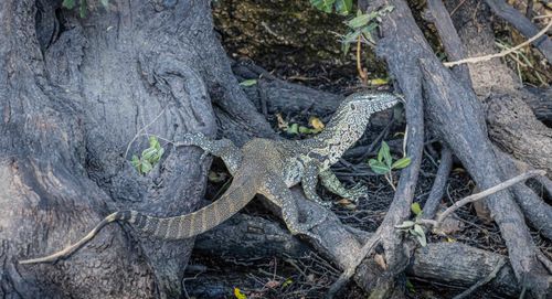 Mdawmdawmdawmdaw7qgraepd6cacehr zcfbfywxu2fyveayeunrgwctqqqltnerwweter6yomfiojy24adow ljj7f22f2vd2s3k0fn 38ezqodftc2xeuhdjufahdziomokxodj3hs jg da6ji5eudq olwagpj5emn5rd3kgeuzaau6oyhhixmzuehtieab 6oqqoq35eblby5x4nqtlfwhnq x6cb yn3exyomtyr gwaei wj5drp9 io9zzweyo8 z8b2vax8mm6neieersau834rzif8ekw9dah vlehu7vf6xqyxjvquzbl8dedesbdm4csj6hs