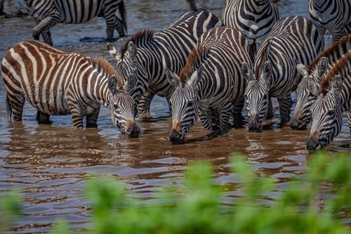 Mdawmdawmdawmdaw7qgraepd6cacehr zcfbfywxu2fyveayeunrgwctqqqltnerwweter6yomfiojy24adow ljj7f22f2vd2s3k0fn 38ezqodftc2xeuhdjufahdziomokxodj3hs jg da6ji5eudq olwagpj5emn5rd3kgeuzaau6oyhhiy8pkhidksfwnr9i9p6l8br51occoxokaslsorommxay3jzwu26rtn jlcf5mpef5drn1qyqlsdzhxe42ejahfxr8msmkejdnvmge5nkvzifrthv8pqs09gcvhv0hulbho8ql ninqft7deqmgkcrp6iqcd04ng mw4wn 7qwm9yc8nq21 bjkyflaiohwfnsgbc