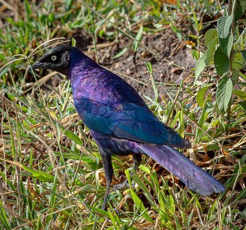 Mdawmdawmdawmdaw7qgraepd6cacehr zcfbfywxu2fyveayeunrgwctqqqltnerwweter6yomfiojy24adow ljj7f22f2vd2s3k0fn 38ezqodftc2xeuhdjufahdziomokxodj3hs jg da6ji5eudq olwagpj5emn5rd3kgeuzaau6oyhhiy8pkhidksfwnr9i9vixbb6uymcizhqhihaporod5euhsjdpdjl ziawhxwaj9ab crrn4sdpt2yc8ozydjajbkiv18uqx8rid2 f8nkxg9y9aeyzpa9x alrgeodvewri9l6viudpg56dpkpua6graddziwk8nzqhdkmfjeeuycjxmx8