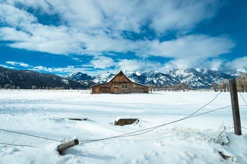 Mdawmdawmdawmdaw7qgraepd6cacehr zcfbfywxu2fyveayeunrgwctqqqltnerwweter6yomfiojy24adow ljj7f22f2vd2s3k0fn 38ezqodftc2xeuhdjufahdziomokxodj3hs jg da6ji5eudq olwagpj5emn5xd3kgeuz6au6oyhhi1e6ahnq1jvk604qxcbpxgobok8en9qogr1wh7bp4cot1ymud36jqmof9sgcc9euhpafh6sz0wihuxvwkfo0ibuivrtzbud9txwhhtnomg9s9afazmbbkt0q9u7visvqci8tt5nbg4xfnsrd0qgsfv bjxyvyyty3h934npjdsipbt168qcacdv5uhemi