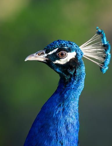 Mdawmdawmdawmdaw7qgraepd6cacehr zcfbfywxu2fyveayeunrgwctqqqltnerwweter6yomfiojy24adow ljj7f22f2vd2s3k0fn 38ezqodftc2xeuhdjufahdziomokxodj3hs jg da6ji5eudq olwagpj5emn5xd3kgeuz6au6oyhhi2sdzfctmfzfr 4owdalsk5nfndggx 4gffc28qkwfoq1mjdymfbwmubhdvpnp169lptn4s5hhmke3 8xezeqgrj4lnoqxcnpd3mm7zqgnnk5aeyzo7z7s1frxa0mtfyiyjzttpdf9b4xrk8pf13u9emca8qqcyqgwithteeikztxv0m1cp8edx8fhoygb7ub9ntah3k