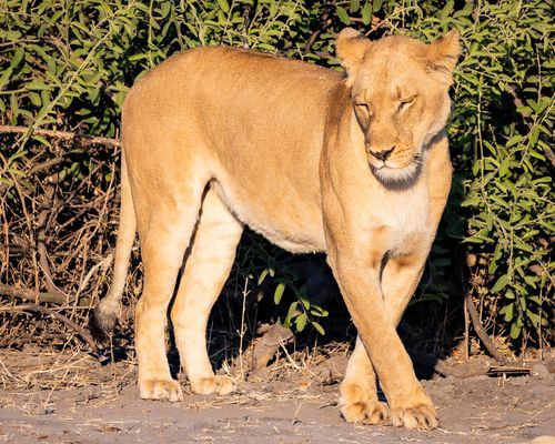 Mdawmdawmdawmdaw7qgraepd6cacehr zcfbfywxu2fyveayeunrgwctqqqltnerwweter6yomfiojy24adow ljj7f22f2vd2s3k0fn 38ezqodftc2xeuhdjufahdziomokxodj3hs jg da6ji5eudq olwagpj5emn5xd3kgeuz6au6oyhhi2tfrbdd8syj 8yuhfrtbrobgkdc4w 9qhwljqeh6fulxyn1rmvr9l onta8u4q ibbhy 8fouj2ekcyrnye gra3z4wvw8bvwwhrtn4ah9qhvl4ryu8m9gc goseswzfnnj 8ehssp4ndqwyz5 uk06r0 b5wg