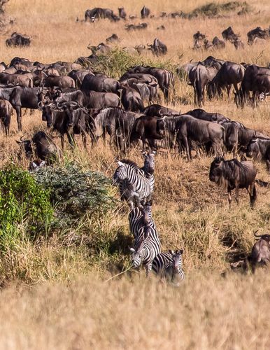 Mdawmdawmdawmdaw7qgraepd6cacehr zcfbfywxu2fyveayeunrgwctqqqltnerwweter6yomfiojy24adow ljj7f22f2vd2s3k0fn 38ezqodftc2xeuhdjufahdziomokxodj3hs jg da6ji5eudq olwagpj5emn5xd3kgeuz6au6oyhhi3czueyfnc6tk6rqvdkdsfatdnd0w2v5lx0y6tef feh2ymyl2krxaag0hejy5hvscaz15npqxtrpxpmjndgxduj2h8ijejceqsqq wjhwp hrxv2p6s04bb5qanire0bdydttoaftarofctfsw05vcpclebrikgrlha