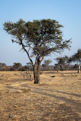 Mdawmdawmdawmdaw7qgraepd6cacehr zcfbfywxu2fyveayeunrgwctqqqltnerwweter6yomfiojy24adow ljj7f22f2vd2s3k0fn 38ezqodftc2xeuhdjufahdziomokxodj3hs jg da6ji5eudq olwagpj5emn5xd3kgeuz6au6oyhhi3czwey1rczfe 40df67bjrblluws2k4yxkp q h7folxywqn3ro1c7bxekwo4ajjbln8 cvmscfjxe5ylbk3vannmtfbci9qrc6u4drjznwssxt5i 0s7xv5xa0dskaracr1uyuf sruba0ycacgibdkb1e0yheokg