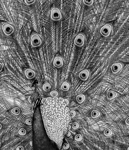 Mdawmdawmdawmdaw7qgraepd6cacehr zcfbfywxu2fyveayeunrgwctqqqltnerwweter6yomfiojy24adow ljj7f22f2vd2s3k0fn 38ezqodftc2xeuhdjufahdziomokxodj3hs jg da6ji5eudq olwagpj5emn5xd3kgeuz6au6oyhhi3t3njyfkdaf09bqrc5jck6h1tmemx 0gefc07ym5qlcnnwiu26rtn xhcldioufnb7ixp4pzti i2ps zy8tagl6m9tbcpzhdycp 2zh1j lsxf4i 06 e0sgogcrwzfnnj ojdy7r1nak97rwsd4mpdfm9oztivb3agq1nyktmtsg