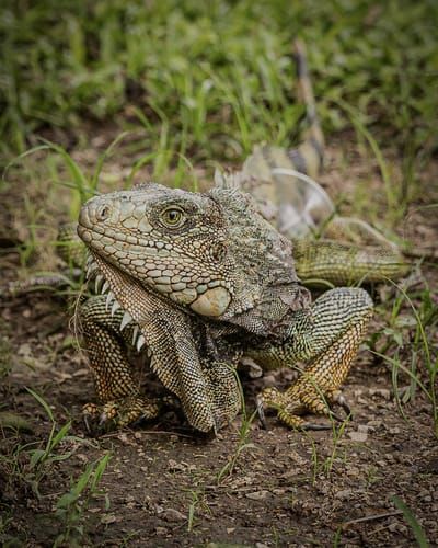 Mdawmdawmdawmdaw7qgraepd6cacehr zcfbfywxu2fyveayeunrgwctqqqltnerwweter6yomfiojy24adow ljj7f22f2vd2s3k0fn 38ezqodftc2xeuhdjufahdziomokxodj3hs jg da6ji5eudq olwagpj5emn5xd3kgeuz6au6oyhhiu5hnmidwd6p47lqheklwf751occ7zpwlcw0y 7isvir6uqxznusocqf8d1lip1c9lomkvyzzvsjaibfyy5atgbnzmtwuu9lvqi2otiw lz qubnhdeu0tkwkgpti9wydbpqi7cenvlt5gopjxhbb p5huyu4etoyh8gntubk38njtqhyrcjlmykzqialqlhg1y lmt6dxqc