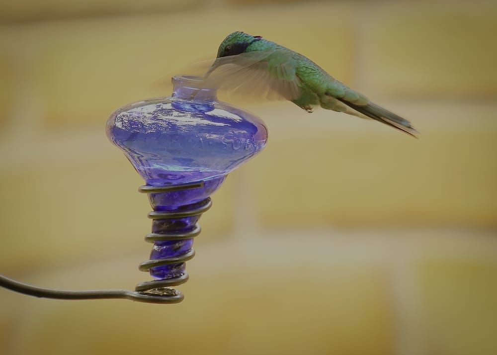 Ecuador Cuenca Cityscapes Hummer Mug Photography Art | Kasdenphotography.art