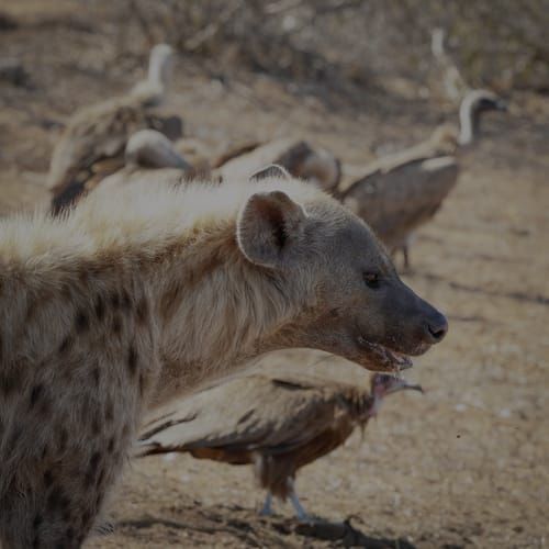 Mdawmdawmdawmdaw7qgraepd6cacehr zcfbfywxu2fyveayeunrgwctqqqltnerwweter6yomfiojy24adow ljj7f22f2vd2s3k0fn 38ezqodftc2xeuhdjufahdziomokxodj3hs jg da6ji5eudq olwagpj5emn5xd3kgeuz6au6oyhhiu5pnpz1gek9i054oezjiabneh8es2syyr0ww lcsell1iztpnblunopmb15jpvq7maf67c4legzs2fw ziqjba10gc6wxn4efxigtnuxgc3rgf59prj rgdlu kfqukedcr1rt9f41s suukg1pb6buadmeqbyt13onxqa26nphx8mmv1tq5cpiusjob dzidgqwxa