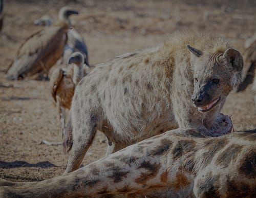 Mdawmdawmdawmdaw7qgraepd6cacehr zcfbfywxu2fyveayeunrgwctqqqltnerwweter6yomfiojy24adow ljj7f22f2vd2s3k0fn 38ezqodftc2xeuhdjufahdziomokxodj3hs jg da6ji5eudq olwagpj5emn5xd3kgeuz6au6oyhhiu5pnpz1gek9iyj4oeblseax1tdo7yp8zs2eo 7eix6sp12im2kjmm lkdvxu5gdrefc qdx1xsdvzfiieom4hw97hoxdadyetjgs5drfznggtxvldfm0veo7ho4e r5ha5iorpkn7bx6d u1ua6gracmg4zzj3lqldew8b 99tzrthf z9u0rptj5c7fcjqf