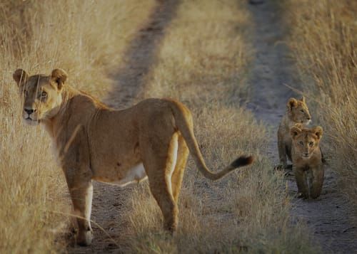 Mdawmdawmdawmdaw7qgraepd6cacehr zcfbfywxu2fyveayeunrgwctqqqltnerwweter6yomfiojy24adow ljj7f22f2vd2s3k0fn 38ezqodftc2xeuhdjufahdziomokxodj3hs jg da6ji5eudq olwagpj5emn5xd3kgeuz6au6oyhhiu5tnjcf3c6bw 58wdjjshbbel8a69qsgbusz6ymstq jjtcu26rtnujjdvtdpuf5drn1qyqlsdzhxe42ejahfxr8msmkejdnvmge5nkvzifrthv8pqs09gcvhv0hulbho8ql ninqft7deqmgkcrp6iqcd04ng mw4wn 7qwm9yc8mmy5bqzpjp4zyqjviywc2g