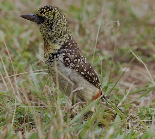 Mdawmdawmdawmdaw7qgraepd6cacehr zcfbfywxu2fyveayeunrgwctqqqltnerwweter6yomfiojy24adow ljj7f22f2vd2s3k0fn 38ezqodftc2xeuhdjufahdziomokxodj3hs jg da6ji5eudq olwagpj5emn5xd3kgeuz6au6oyhhiu5tnjcf3c6bw 58wdjjcfa1il8cwxkorwvzgtef fed7ygao3q7xd7i1wexwsb3 frtg7cd1us swvi zmb2lrs3ltwwqo8gdy u x8rzjhrrbnjor5i b9rg 8n qhhay2m691bpkmmwl1tuepa enig8svczb 6pbl te01skzycqo2ntkenhv