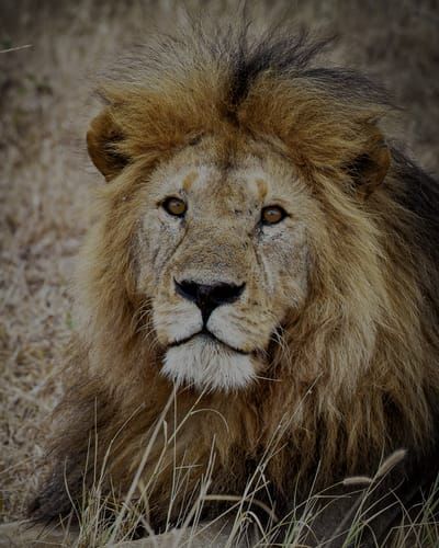 Mdawmdawmdawmdaw7qgraepd6cacehr zcfbfywxu2fyveayeunrgwctqqqltnerwweter6yomfiojy24adow ljj7f22f2vd2s3k0fn 38ezqodftc2xeuhdjufahdziomokxodj3hs jg da6ji5eudq olwagpj5emn5xd3kgeuz6au6oyhhiu5tnoy1qeoni25ihfpjkhl5erfumxfuqwweh872hel tywqj36tvmothceao w rpfkx 9pmuj3axo89dpylgq5m152isy9fxyyntixhgtskswgze 1wtvckepti4qypcy tojdh4rb0apljsagdrbsctph n26gjdi18fld1sacbbwilgvb5sfjedg2rgm