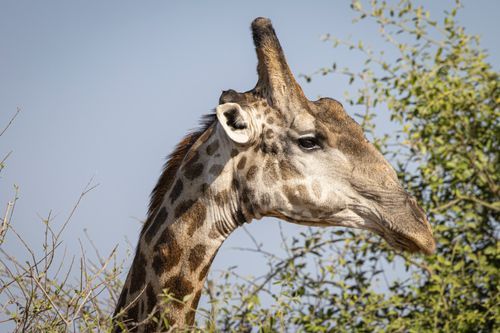 Mdawmdawmdawmdaw7qgraepd6cacehr zcfbfywxu2fyveayeunrgwctqqqltnerwweter6yomfiojy24adow ljj7f22f2vd2s3k0fn 38ezqodftc2xeuhdjufahdziomokxodj3hs jg da6ji5eudq olwagpj5emn5xd3kgeuz6au6oyhhixmrkayxgzkbi2yiqbkh4eyaerdaxnemlwbfgret9e f2wwycxpevzpp hboi8wf ebph5slzvshi2l9qtjlufrj6hyxdemfvqcqjtjphhtigrrrldeuj6hvlu gdv1ani9l6vivs2qsjq q8beotvtfhfodl8tlx