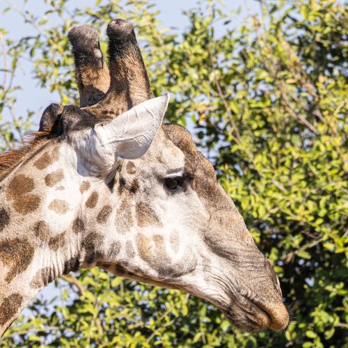 Mdawmdawmdawmdaw7qgraepd6cacehr zcfbfywxu2fyveayeunrgwctqqqltnerwweter6yomfiojy24adow ljj7f22f2vd2s3k0fn 38ezqodftc2xeuhdjufahdziomokxodj3hs jg da6ji5eudq olwagpj5emn5xd3kgeuz6au6oyhhixmrkayxgzkbi2yiqbkh4eyafrcy52pgctbfgret9e f2wwmpxpevzpp hboi8wf ebph5slzvshi2l9qtjlufrj6hyxdemfvqcqjtjphhtigrrrldeuj6hvlu gdv1ani9l6vivs2qqgynxyluphou6e gvri0z 