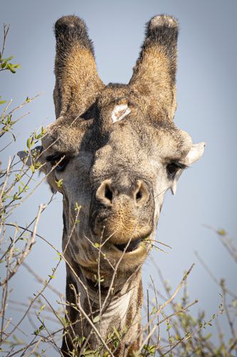 Mdawmdawmdawmdaw7qgraepd6cacehr zcfbfywxu2fyveayeunrgwctqqqltnerwweter6yomfiojy24adow ljj7f22f2vd2s3k0fn 38ezqodftc2xeuhdjufahdziomokxodj3hs jg da6ji5eudq olwagpj5emn5xd3kgeuz6au6oyhhixmrkayxgzkbi2yiqbkh4efiyrde8zfyqqxfgret9e f2wgoixpevzpp hboi8wf ebph5slzvshi2l9qtjlufrj6hyxdemfvqcqjtjphhtigrrrldeuj6hvlu gdv1ani9l6vivs2qs88evrilzac1ytuvronuag