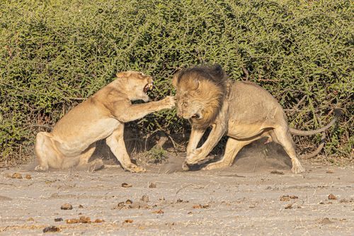 Mdawmdawmdawmdaw7qgraepd6cacehr zcfbfywxu2fyveayeunrgwctqqqltnerwweter6yomfiojy24adow ljj7f22f2vd2s3k0fn 38ezqodftc2xeuhdjufahdziomokxodj3hs jg da6ji5eudq olwagpj5emn5xd3kgeuz6au6oyhhixszxgrtjebhywamxf7ptk7hclmymnbzogqxirex4eoxw1jlljb ziawhxwaj9ab crrn4sdpt2yc8ozydjajbkiv18uqx8rid2 f hmmidw9aeykz 86 figffsc r5qmdiy0cjnazocneuwbezfaxfarwoi