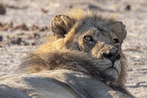 Mdawmdawmdawmdaw7qgraepd6cacehr zcfbfywxu2fyveayeunrgwctqqqltnerwweter6yomfiojy24adow ljj7f22f2vd2s3k0fn 38ezqodftc2xeuhdjufahdziomokxodj3hs jg da6ji5eudq olwagpj5emn5xd3kgeuz6au6oyhhixszxgrtxc61794ulc6dbb69fkncohqhiha1mqef fuzskincylh9d6oyub0c rvgfqf65mz0hnt90l8zzy08vfo3mc6uw9keawgv8x8chsnrgekhz m0ruwtbedi4rfvmzws8ye9sldgno9hbjrwk7wr8tm