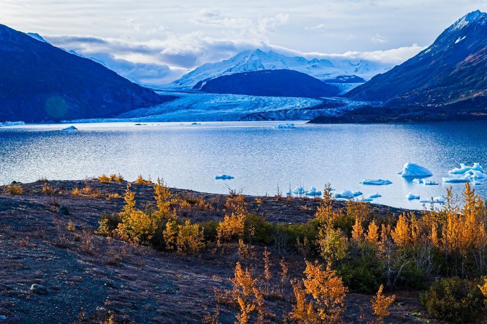 Alaska Glacier Ending In Lake Photography Art | Kasdenphotography.art