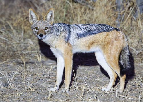 Mdawmdawmdawmdaw7qgraepd6cacehr zcfbfywxu2fyveayeunrgwctqqqltnerwweter6yomfiojy24adow ljj7f22f2vd2s3k0fn 38ezqodftc2xeuhdjufahdziomokxodj3hs jg da6ji5eudq olwagpj5emn5xd3kgeuz6au6oyhhiymnzfc9avk909bqobkt1dbn1vd0w5 ayrkoo3qsgubcdqzjdi  2xoomsr1l xg1moqkuzswd3 rn69 fzirvew3gdwyxn5aqjgq9wimgdo6aezklp11qeo5u7vit00iajztojdh4rb0apljsagdrbsctph n26gjdi18fld1prrcai1zxelxoh2wyz dyu