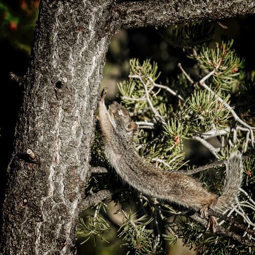 Mdawmdawmdawmdaw7qgraepd6cacehr zcfbfywxu2fyveayeunrgwctqqqltnerwweter6yomfiojy24adow ljj7f22f2vd2s3k0fn 38ezqodftc2xeuhdjufahdziomokxodj3hs jg da6ji5eudq olwagpj5emn5xd3kgeuz6au6oyhhizdfzgsbava9554qmoptvabzygnyl9solxfsl b6gsbkdk2bc3em1lodkdfpoofy9lua94dhghmke3 8xezeqgrj4lnoqxcnpd3mm7zqgnnk5aeyzo7z7s1frxa0cvk0cazzttoaftfuxh qlblyrp6iqcyxhpivvwq9w58xzx9td kqqcg0