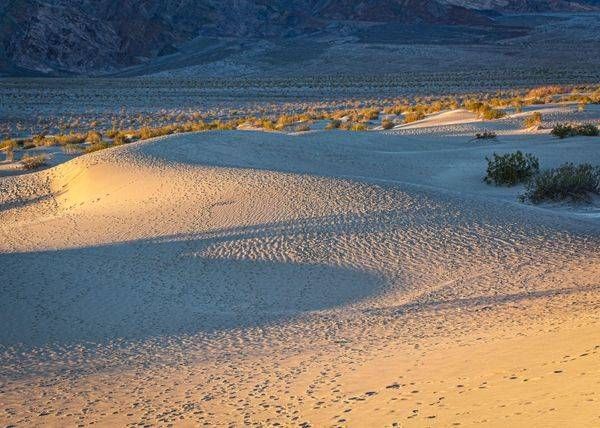 Death Valley Dunes Photography Art | Kasdenphotography.art