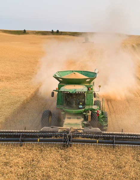 Agriculture