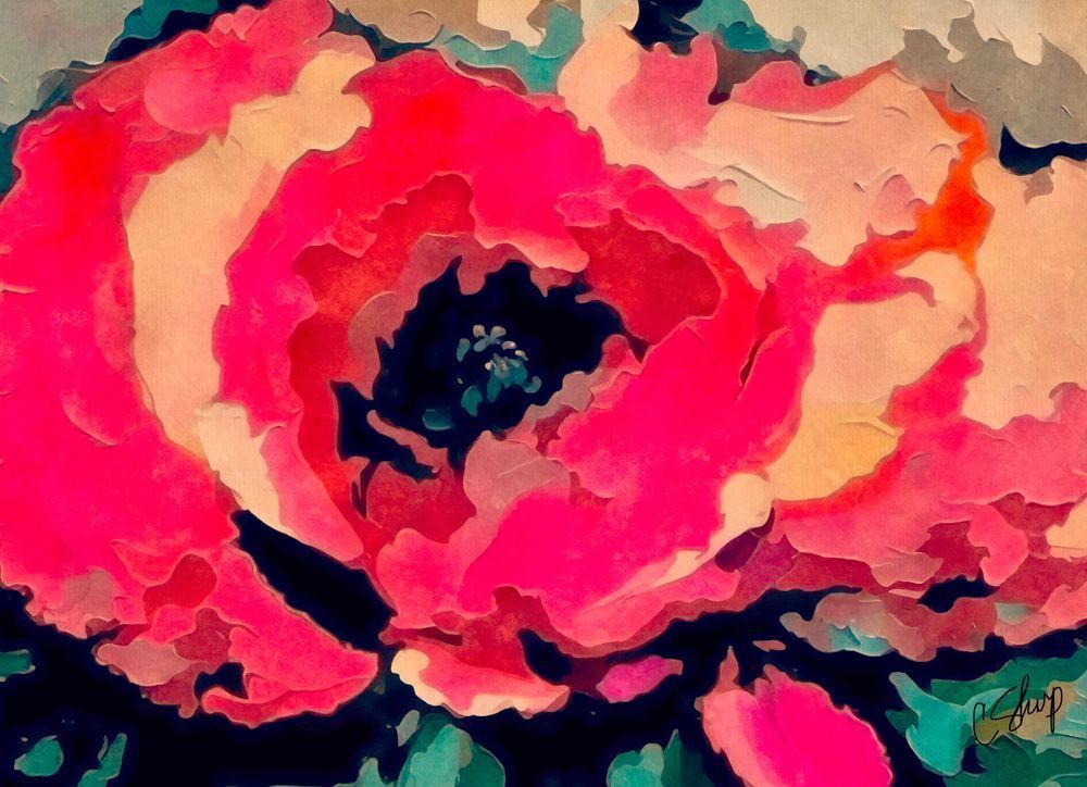 Red Poppy Art | csharp art