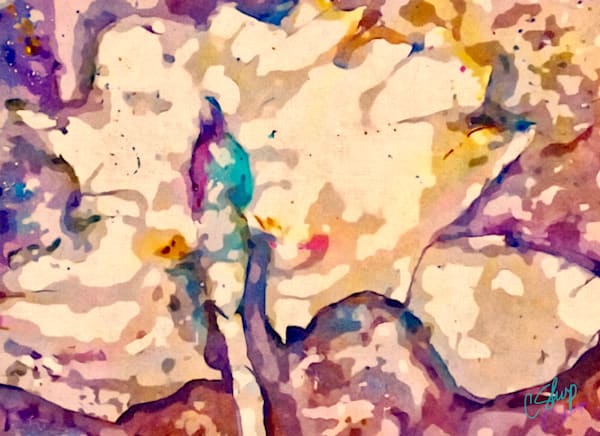 Fleur Blanche Art | csharp art
