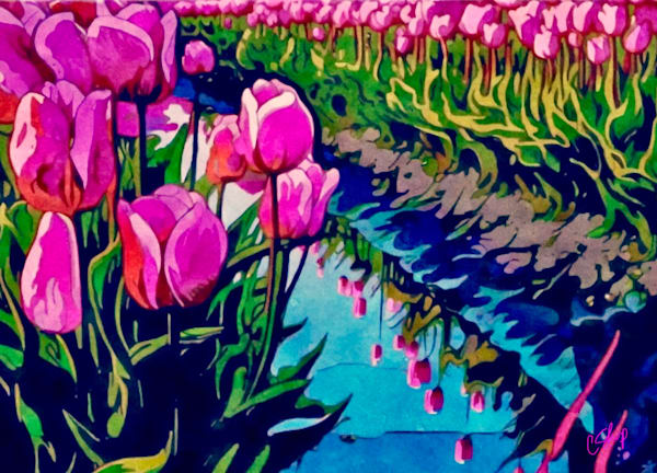 TULIP FIELDS