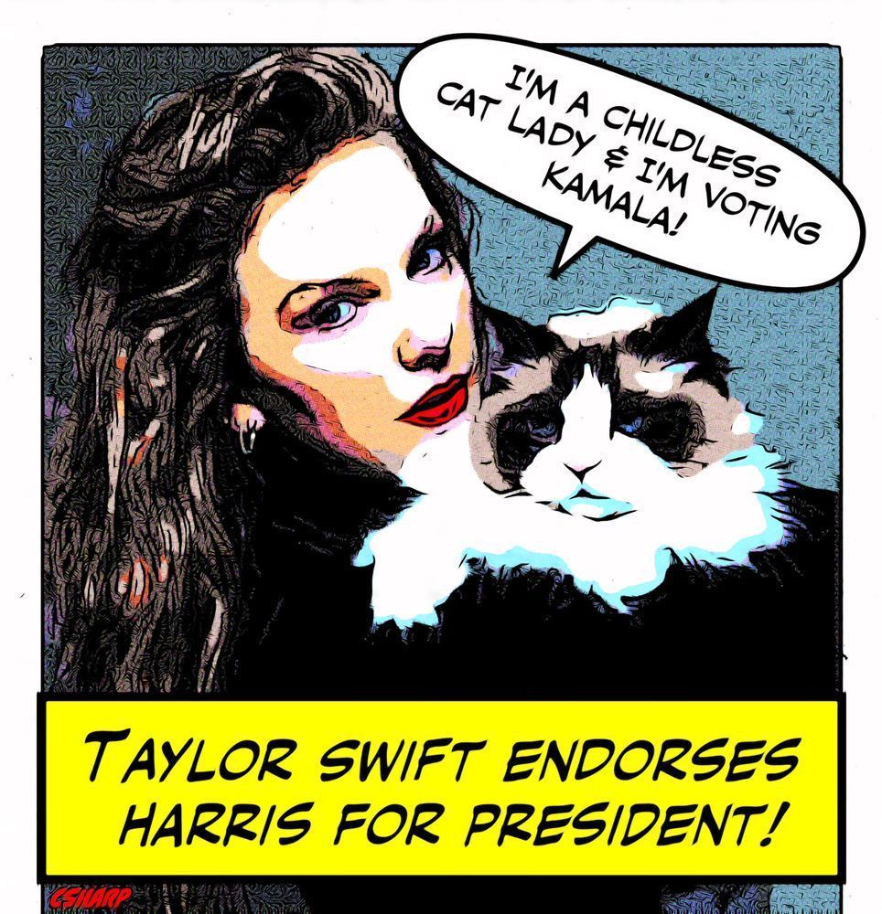 Taylor Endorsement Art | csharp art