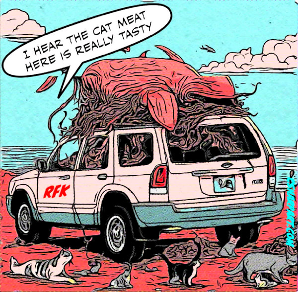 Rfk Likes Cats Art | csharp art