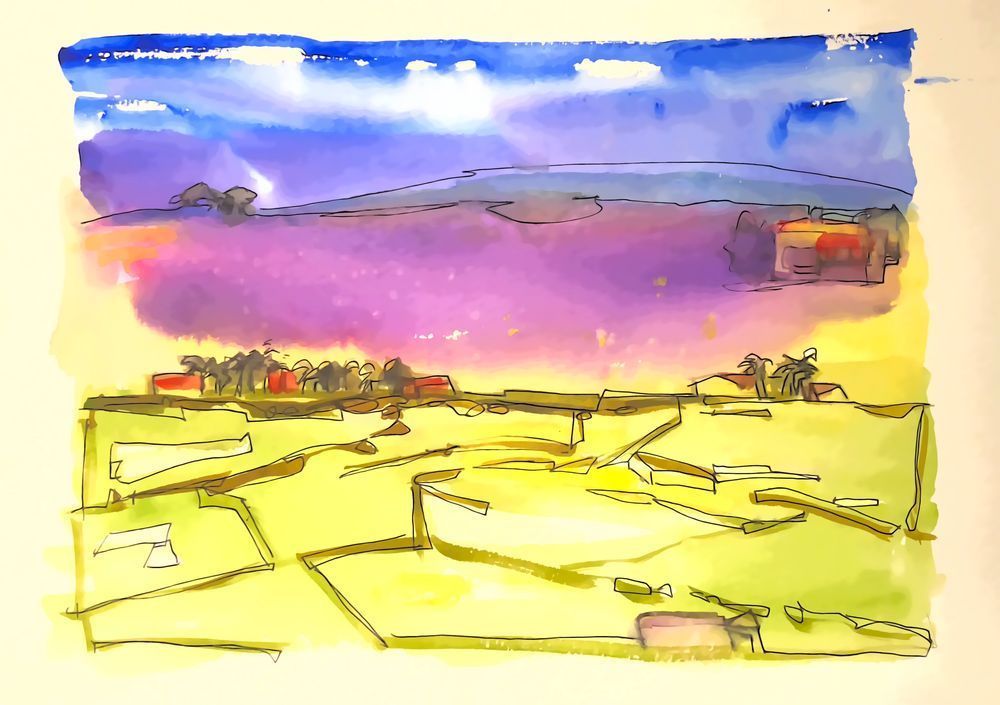 Fields Of Green & Gold Art | csharp art