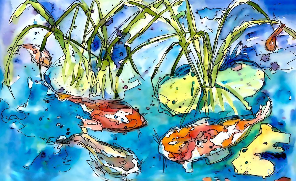 Fish
