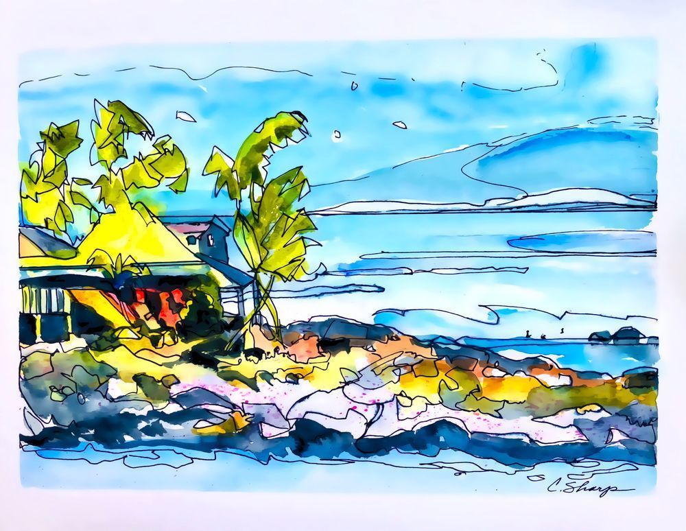 Napilli Point Art | csharp art