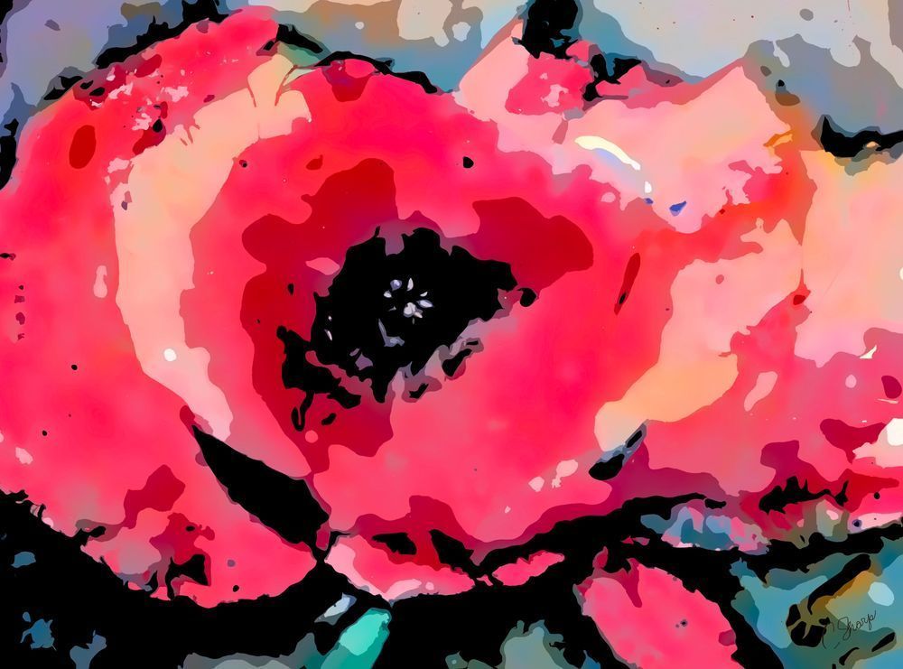 Biggest Poppy I've Ever Seen Art | csharp art