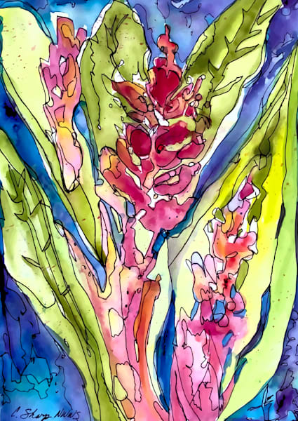 Red Ginger Iii Art | csharp art