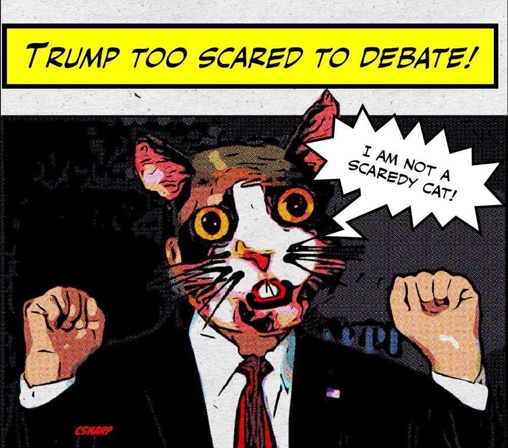 Scaredy Cat