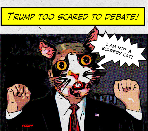 Scaredy Cat