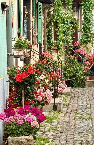 Eguisheim