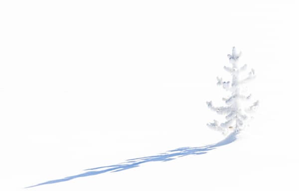 A Winter's Day