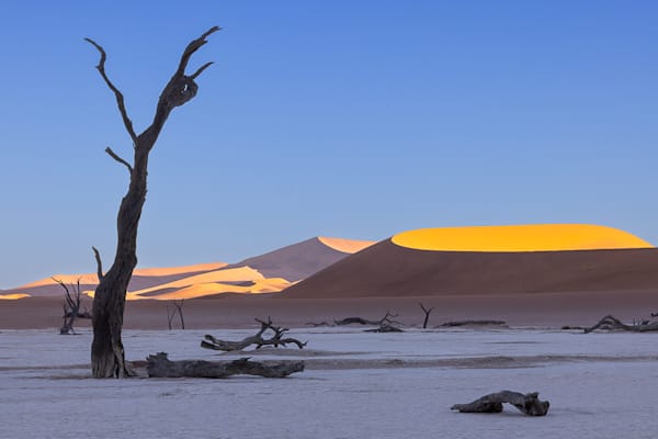 Deadvlei
