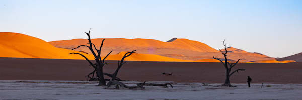 Deadvlei Predawn