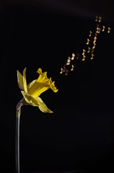 Spring song