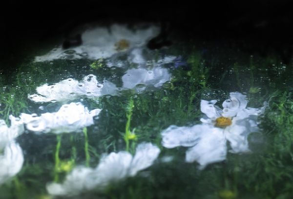 Abstract