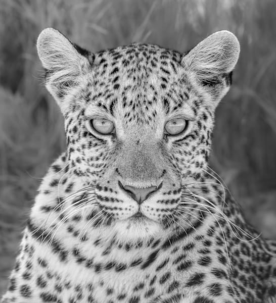 Junior in B & W