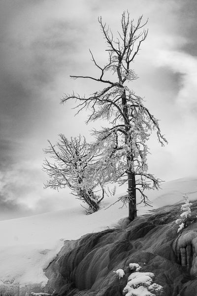 (Mostly) Black and White