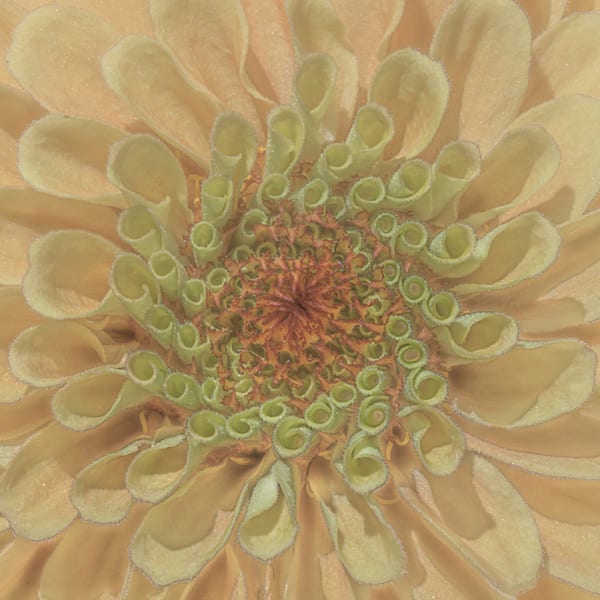 Peachy Green