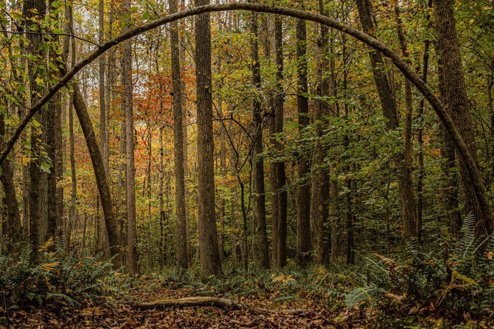 Archway Photography Art | Kimberly Umstead Photography